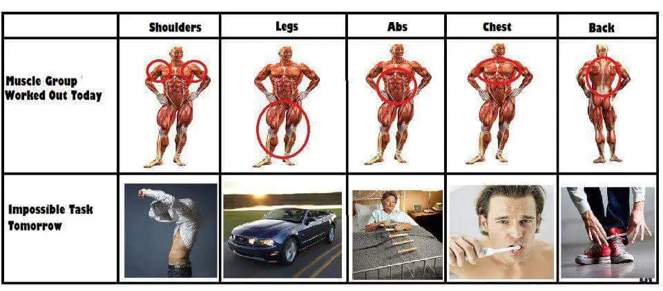 About DOMS